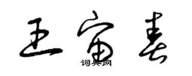 曾慶福王宙春草書個性簽名怎么寫