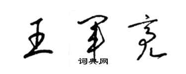 梁錦英王軍亮草書個性簽名怎么寫