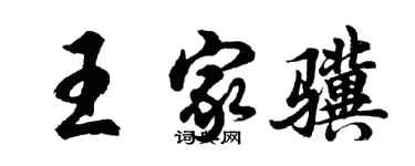 胡問遂王家驥行書個性簽名怎么寫