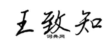 王正良王致知行書個性簽名怎么寫