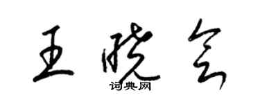 梁錦英王曉會草書個性簽名怎么寫