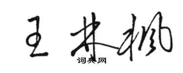 駱恆光王林楓草書個性簽名怎么寫