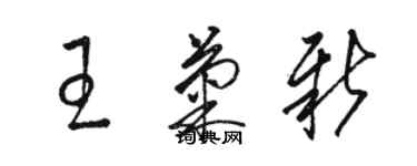 駱恆光王菊新草書個性簽名怎么寫