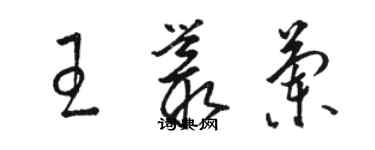 駱恆光王叢蘭草書個性簽名怎么寫