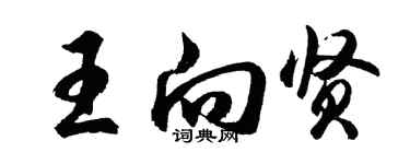 胡問遂王向賢行書個性簽名怎么寫