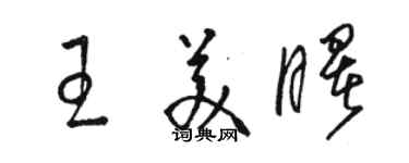 駱恆光王美曙草書個性簽名怎么寫