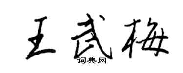 王正良王武梅行書個性簽名怎么寫