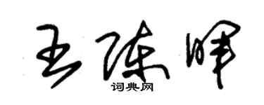 朱錫榮王陳暉草書個性簽名怎么寫