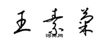 梁錦英王素菊草書個性簽名怎么寫