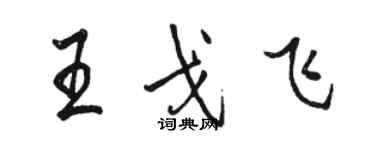 駱恆光王戈飛行書個性簽名怎么寫