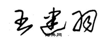 朱錫榮王建羽草書個性簽名怎么寫