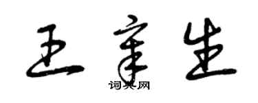 曾慶福王章生草書個性簽名怎么寫