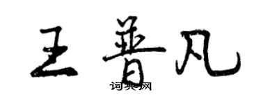 曾慶福王普凡行書個性簽名怎么寫