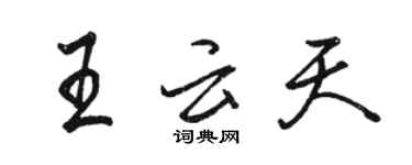 駱恆光王雲天行書個性簽名怎么寫