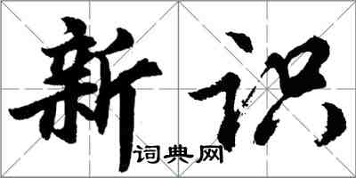 胡問遂新識行書怎么寫