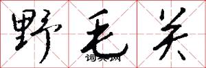 野毛關怎么寫好看