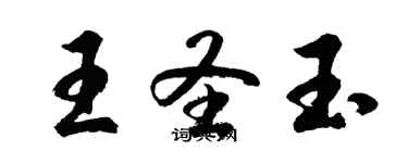 胡問遂王聖玉行書個性簽名怎么寫