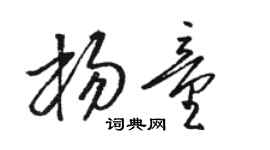 駱恆光楊童草書個性簽名怎么寫
