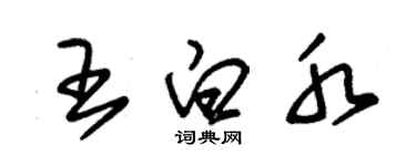 朱錫榮王白水草書個性簽名怎么寫