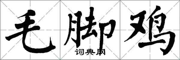 翁闓運毛腳雞楷書怎么寫