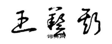 曾慶福王藝斯草書個性簽名怎么寫