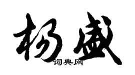 胡問遂楊盛行書個性簽名怎么寫