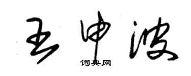 朱錫榮王申波草書個性簽名怎么寫