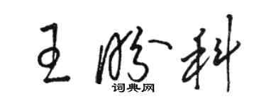 駱恆光王盼科草書個性簽名怎么寫