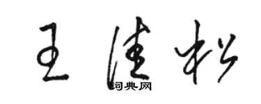 駱恆光王佳松草書個性簽名怎么寫