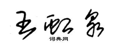 朱錫榮王虹泉草書個性簽名怎么寫