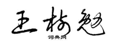 曾慶福王樹勉草書個性簽名怎么寫