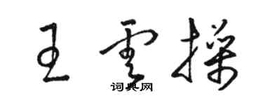 駱恆光王雲操草書個性簽名怎么寫