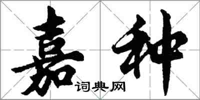 胡問遂嘉種行書怎么寫