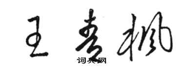 駱恆光王青楓草書個性簽名怎么寫