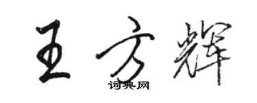 駱恆光王方輝行書個性簽名怎么寫