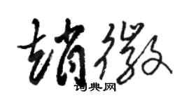 駱恆光趙徽草書個性簽名怎么寫