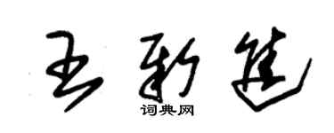 朱錫榮王新進草書個性簽名怎么寫