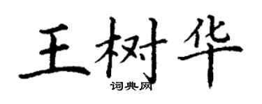 丁謙王樹華楷書個性簽名怎么寫
