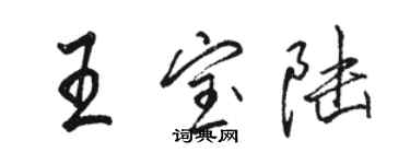 駱恆光王寶陸行書個性簽名怎么寫