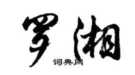胡問遂羅湘行書個性簽名怎么寫