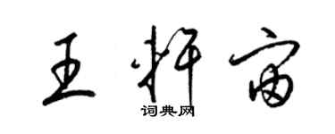 梁錦英王軒宙草書個性簽名怎么寫