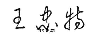 駱恆光王忠特草書個性簽名怎么寫