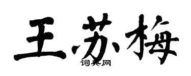翁闓運王蘇梅楷書個性簽名怎么寫