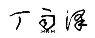 朱錫榮丁雨澤草書個性簽名怎么寫