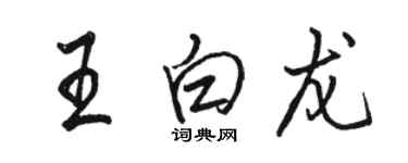 駱恆光王白龍行書個性簽名怎么寫