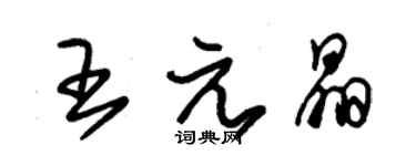 朱錫榮王元晶草書個性簽名怎么寫