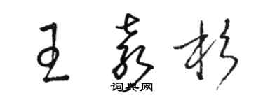 駱恆光王袁杉草書個性簽名怎么寫