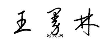 梁錦英王曼林草書個性簽名怎么寫