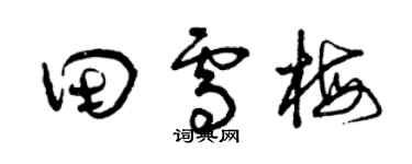曾慶福田雪梅草書個性簽名怎么寫