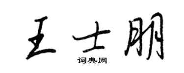 王正良王士朋行書個性簽名怎么寫